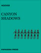 Canyon Shadows Flute & Percussion Ensemble cover